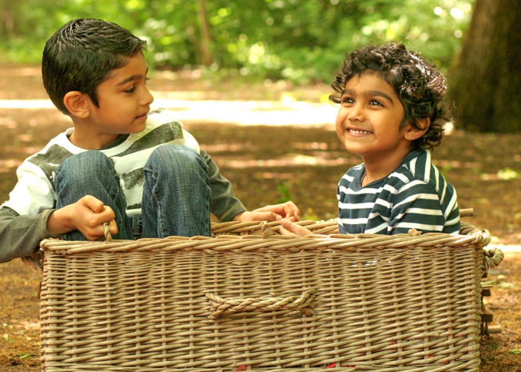 Two brothers sitting in a straw box in the park smiling